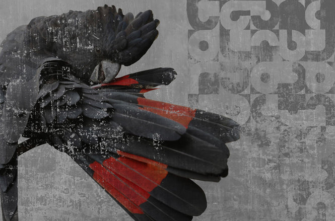 Wall&deco / Gio pagani 13 Cockatoo / GPW1301