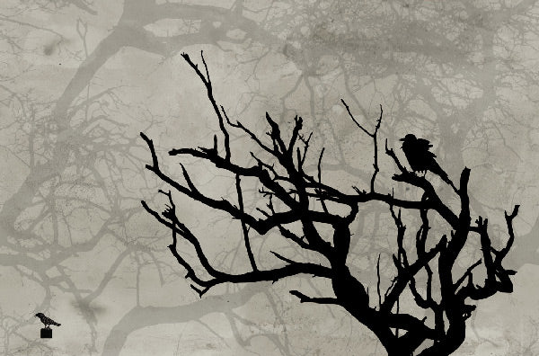 Wall&deco / Gio Pagni 14 Crow / GPW1417