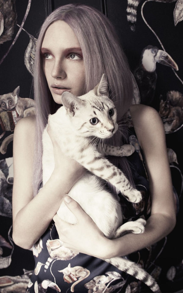 House of Hackney / Hackney Empire Midnight 【4パネル1セット】