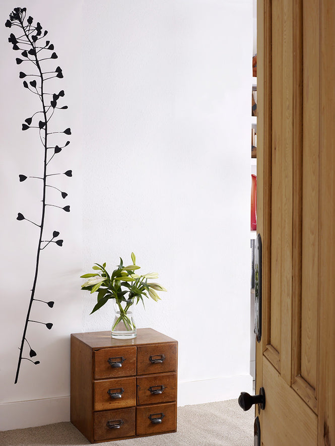 Tracy Kendall / Heartweed