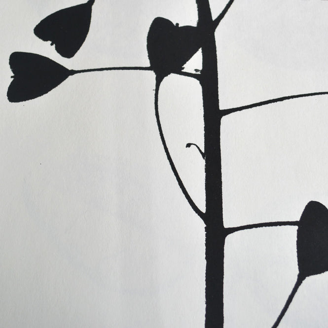 Tracy Kendall / Heartweed