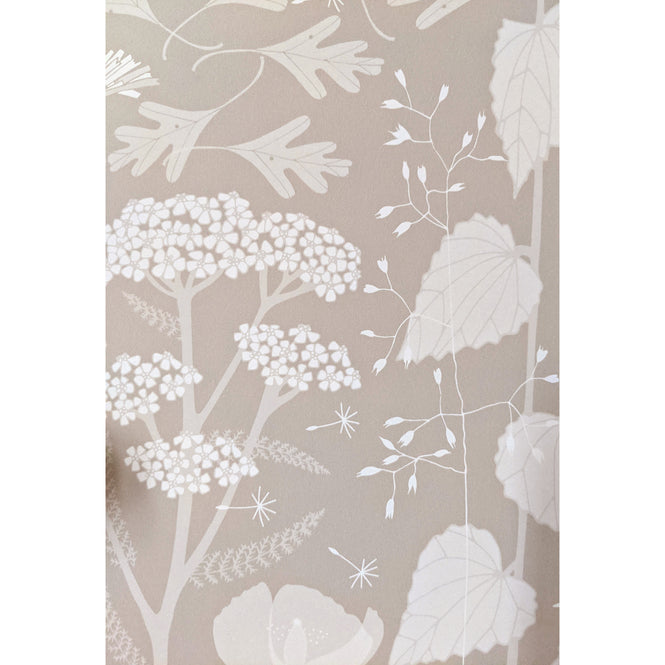 Hannah Nunn / Hedgerow in Hush