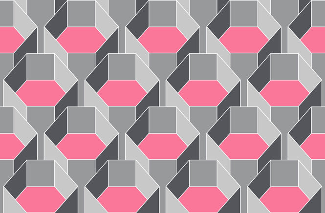Quirk & Rescue / HexaGone 3