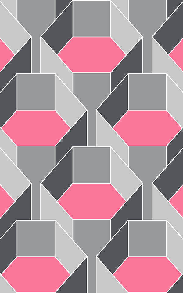 Quirk & Rescue / HexaGone 3