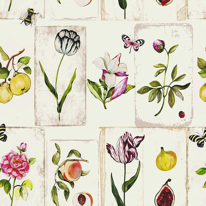 Vilber / KITCHEN&DELICIOUS - FRUITS / LABELS 2230 W-01