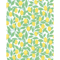 はがせる シール壁紙 wallshoppe / Lemons-White | 輸入壁紙専門店
