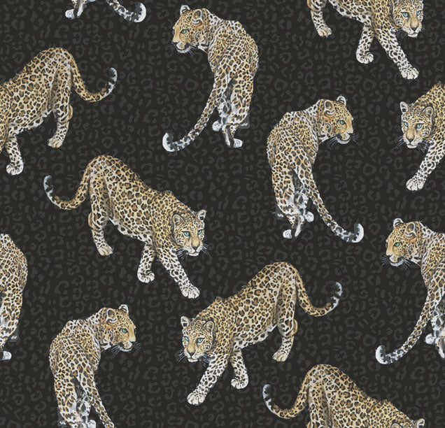 Graduate Collection / All Over Leopard Charcoal / AB1LEOCHARCOAL