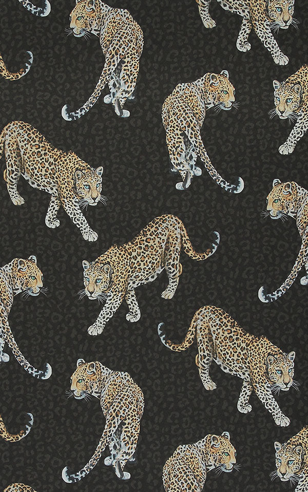 Graduate Collection / All Over Leopard Charcoal / AB1LEOCHARCOAL