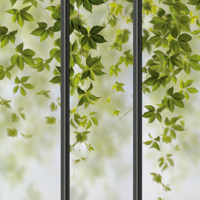 KOZIEL / Papier peint panoramique petite verriere et vigne vierge LPV020