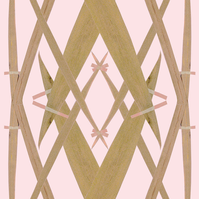 Studio DeSimoneWayland / VOLUME1 / MEADOW GRASS SHELL PINK VO1-ME-SP【MATTE COATED】【4ロールセット】