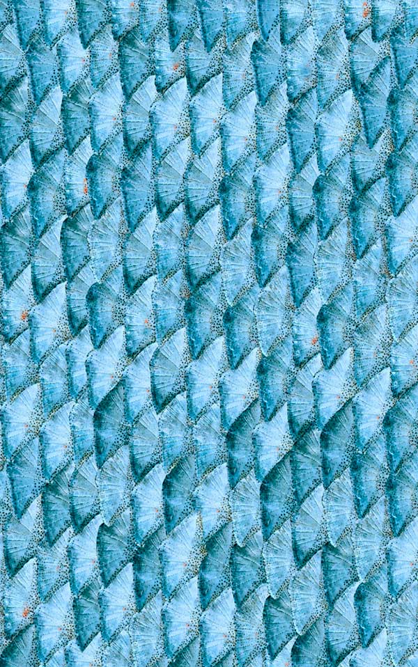 輸入壁紙 coordonne / ESSENTIA 150/50 Mermaid tail Blue / 5800071