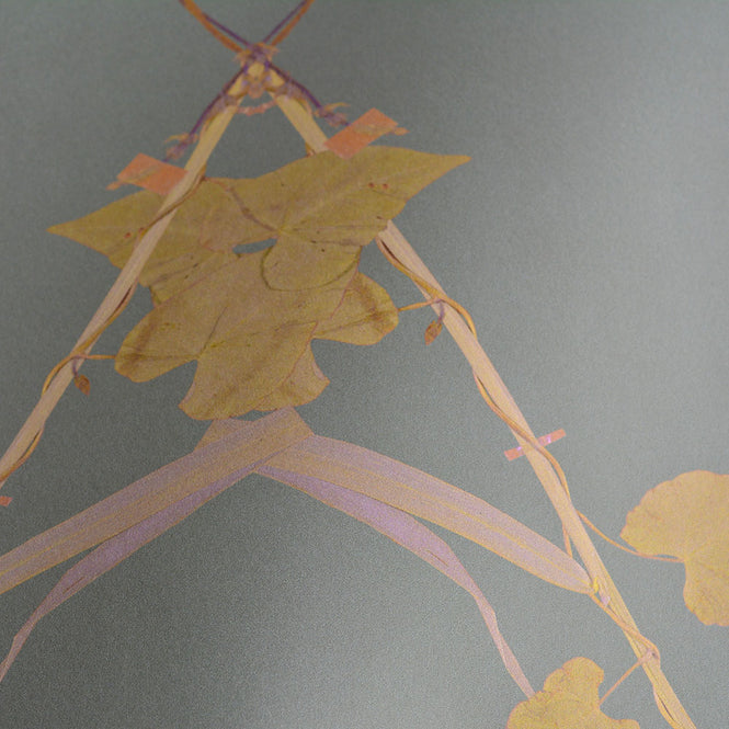 Studio DeSimoneWayland / VOLUME1 / MORNING GLORY PALE GREEN VO1-MG-PG【MATTE COATED】【4ロールセット】
