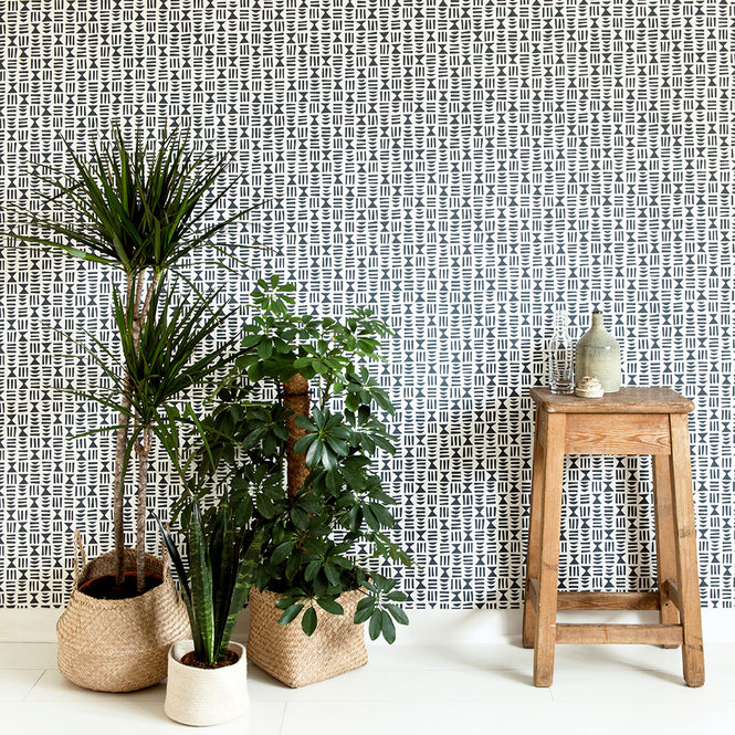 MissPrint / KINFOLK / MISP1241