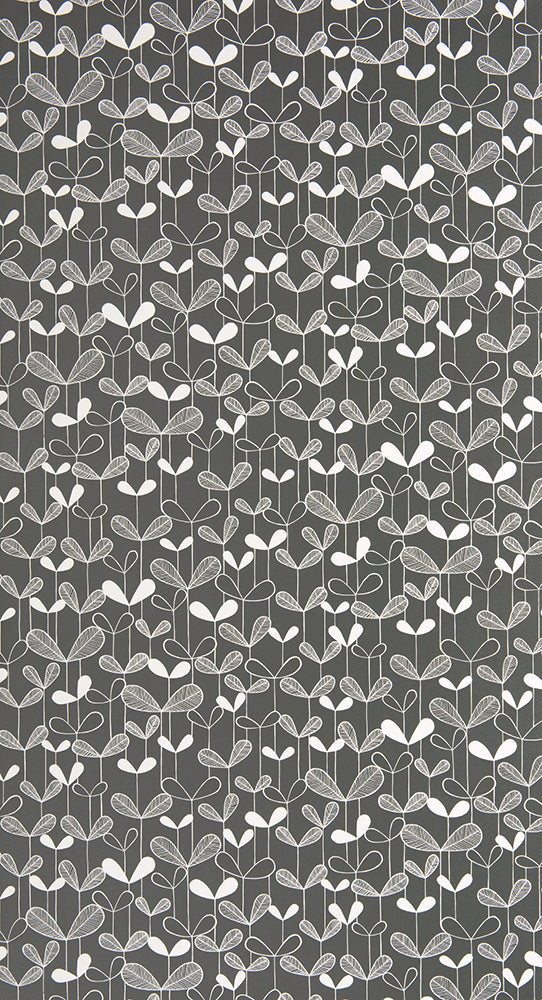 MissPrint / KINFOLK / MISP1261