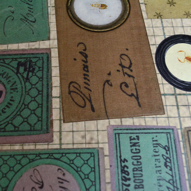 【切売m単位】NLXL LAB / MICROSCOPIC SLIDES / MR & MRS VINTAGE / MRV-10