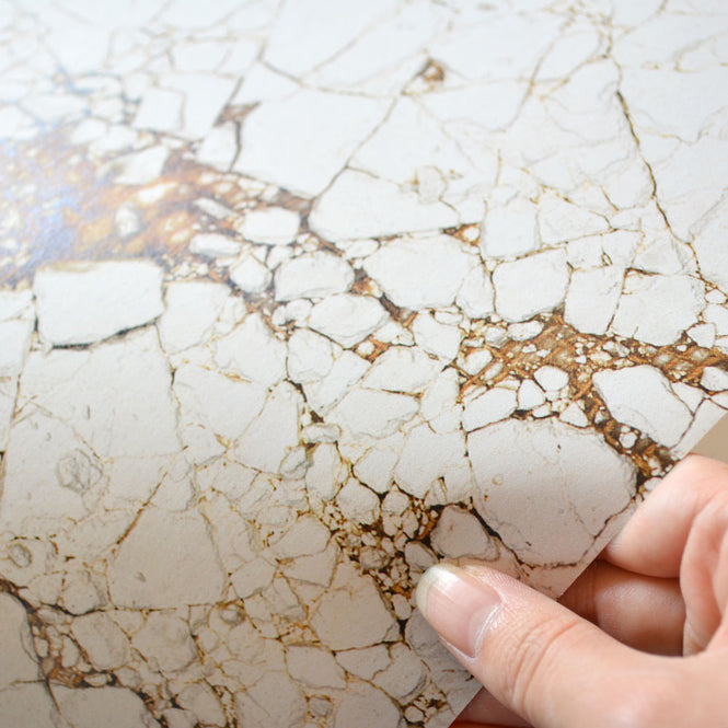 NLXL MONOCHROME WALLPAPER CRACK WALLPAPER BY NACHO CARBONELL NCA-01