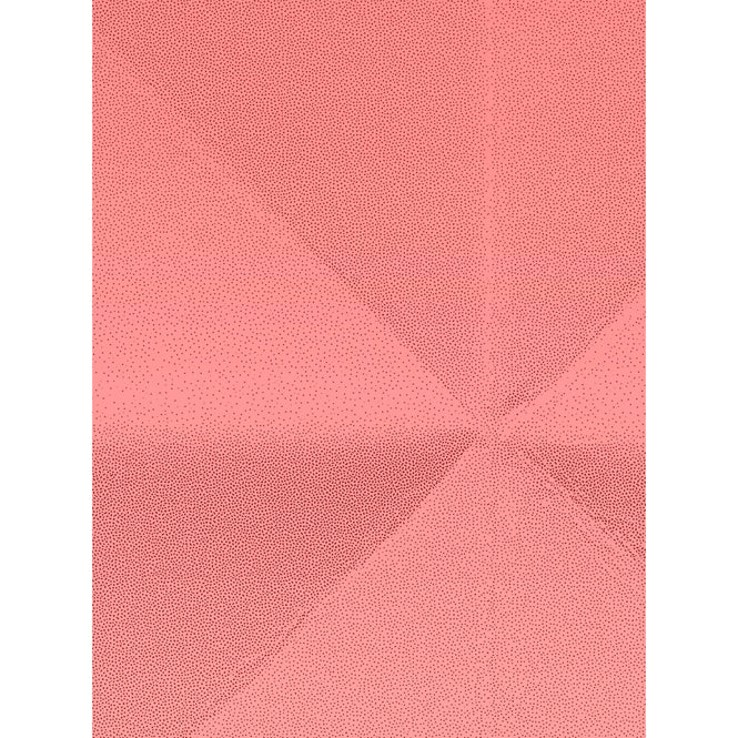 Domestic / Floating gradient red Les Graphiquants NDL059