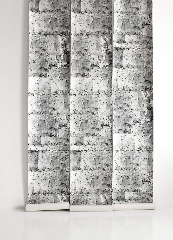 Deborah Bowness / The Standard Collection / NoticeBoard in Hastings