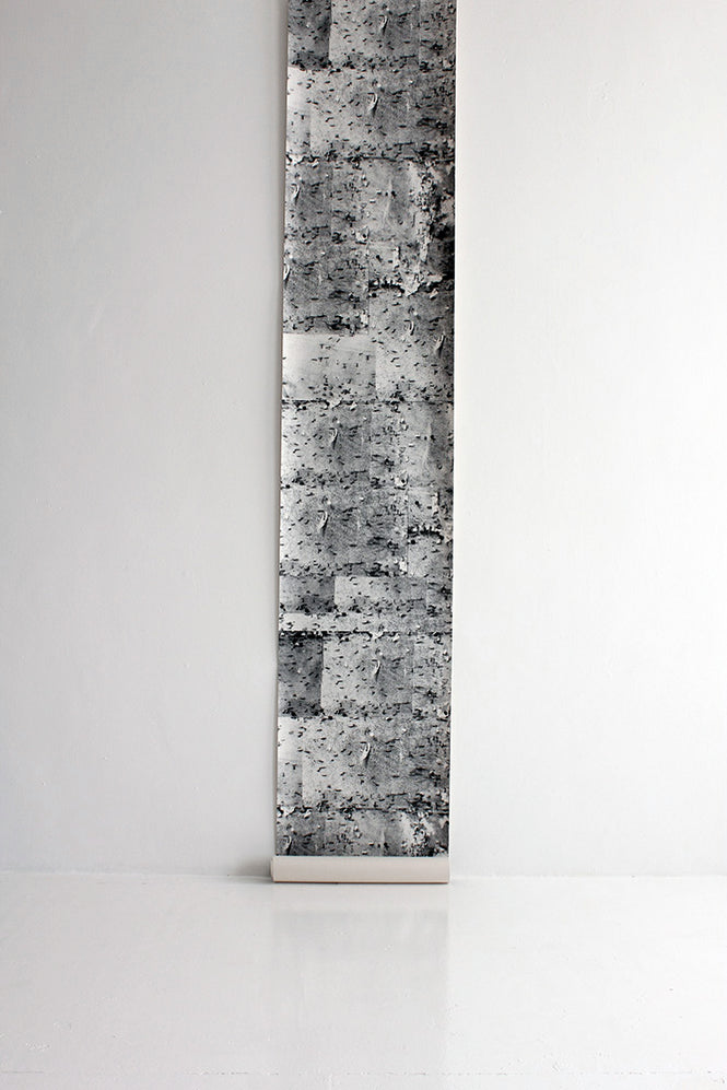 Deborah Bowness / The Standard Collection / NoticeBoard in Hastings