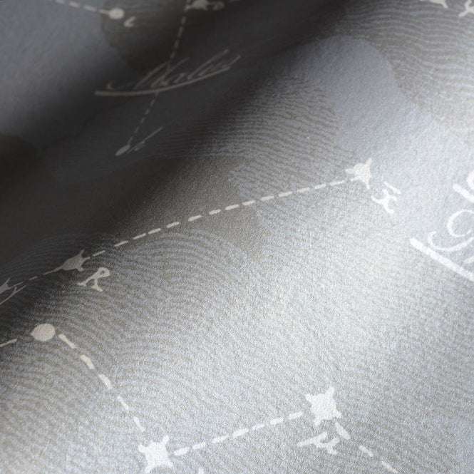 Studio DeSimoneWayland / VOLUME1 / NIGHT SKY SILVER LIGHT VO1-NS-SL【MICA COATED】【4ロールセット】