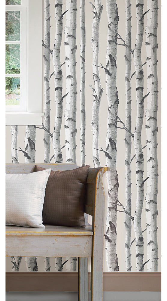 【予約受付】はがせる シール 壁紙 NU WALLPAPER / Birch Tree Peel And Stick Wallpaper / NU1650(NU3128)