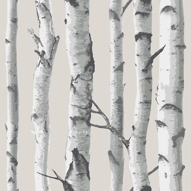 【予約受付】はがせる シール 壁紙 NU WALLPAPER / Birch Tree Peel And Stick Wallpaper / NU1650(NU3128)