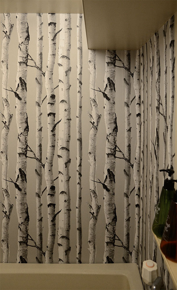 【予約受付】はがせる シール 壁紙 NU WALLPAPER / Birch Tree Peel And Stick Wallpaper / NU1650(NU3128)