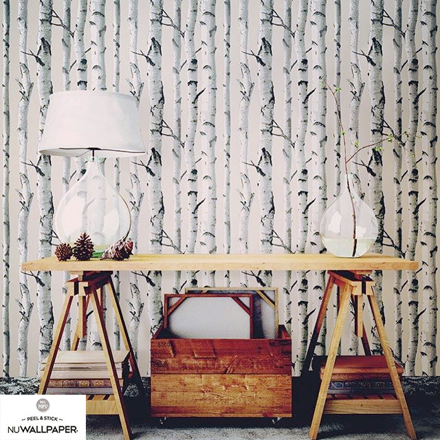 【予約受付】はがせる シール 壁紙 NU WALLPAPER / Birch Tree Peel And Stick Wallpaper / NU1650(NU3128)