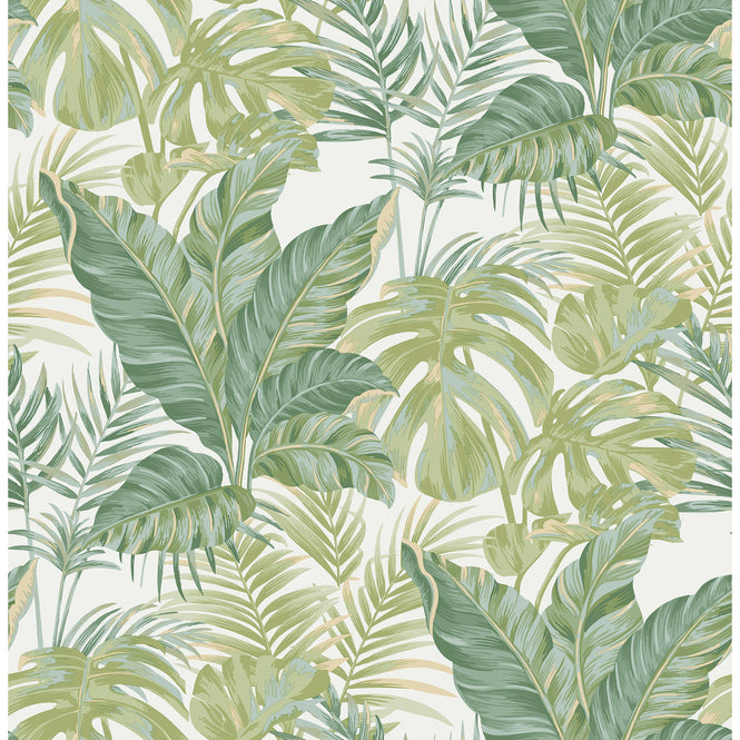 【予約受付】はがせる シール 壁紙 NU WALLPAPER / Madagascar Peel and Stick Wallpaper / NU3382