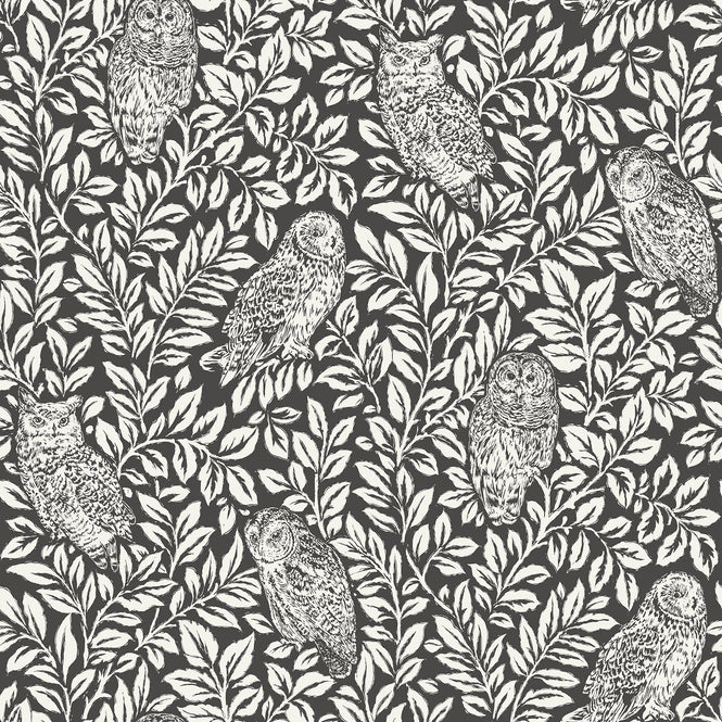 【予約受付】はがせる シール 壁紙 NU WALLPAPER / Charcoal Sleepy Owls Peel and Stick Wallpaper / NUS3625