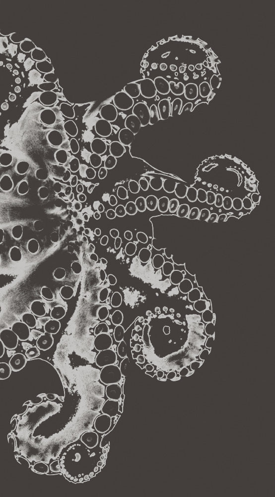 Malz & Malz Interieur / Octopus/Antracite