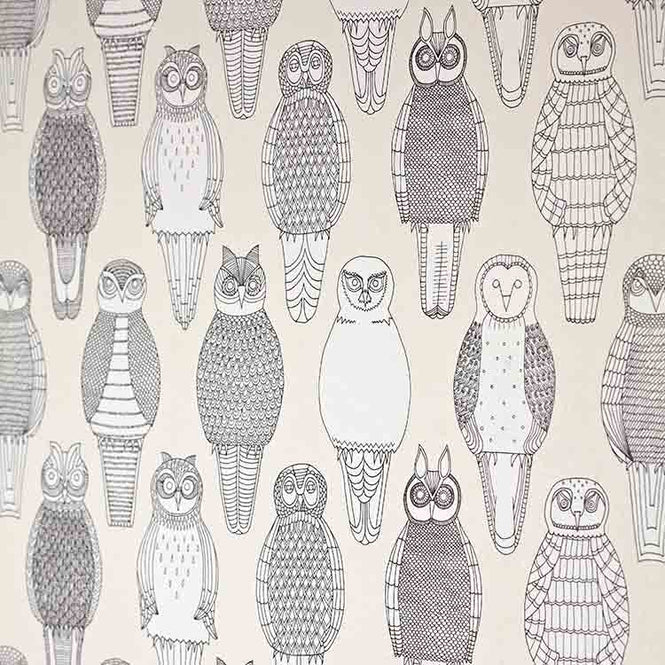 【切売m単位】Abigail Edwards / Owls of the British Isles