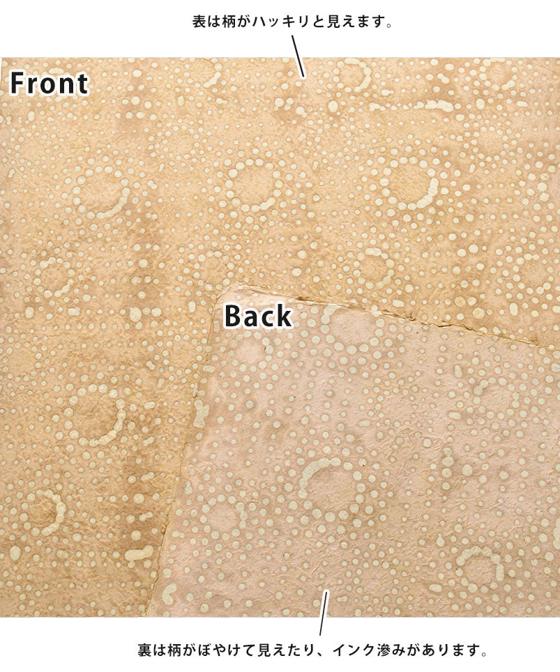 LE MONDE SAUVAGE de BEATRICE LAVAL / ルモンドソヴァージュ Make up