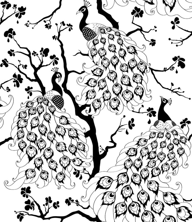 Dupenny Peacock  / Black and White