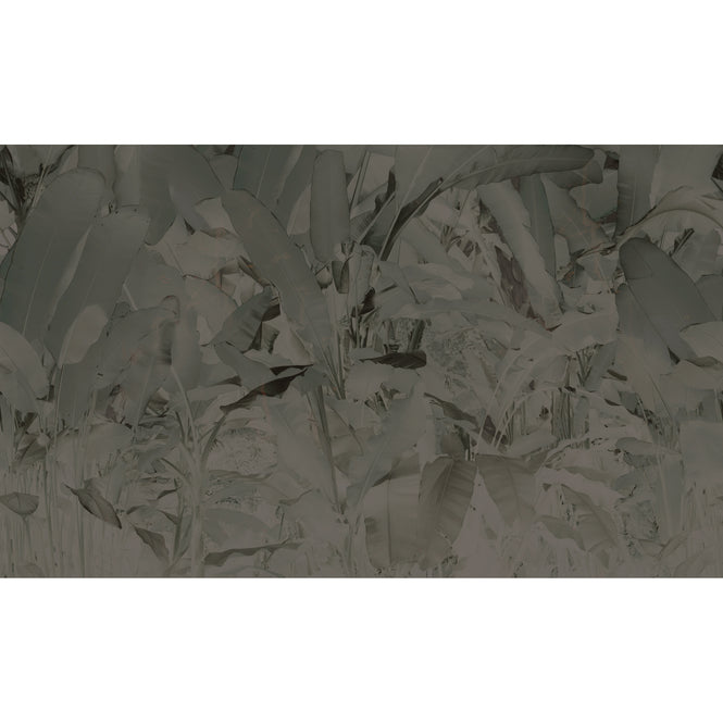 Elli Popp / Wise pond - A frog jumps-Gray / PM164-04 mica