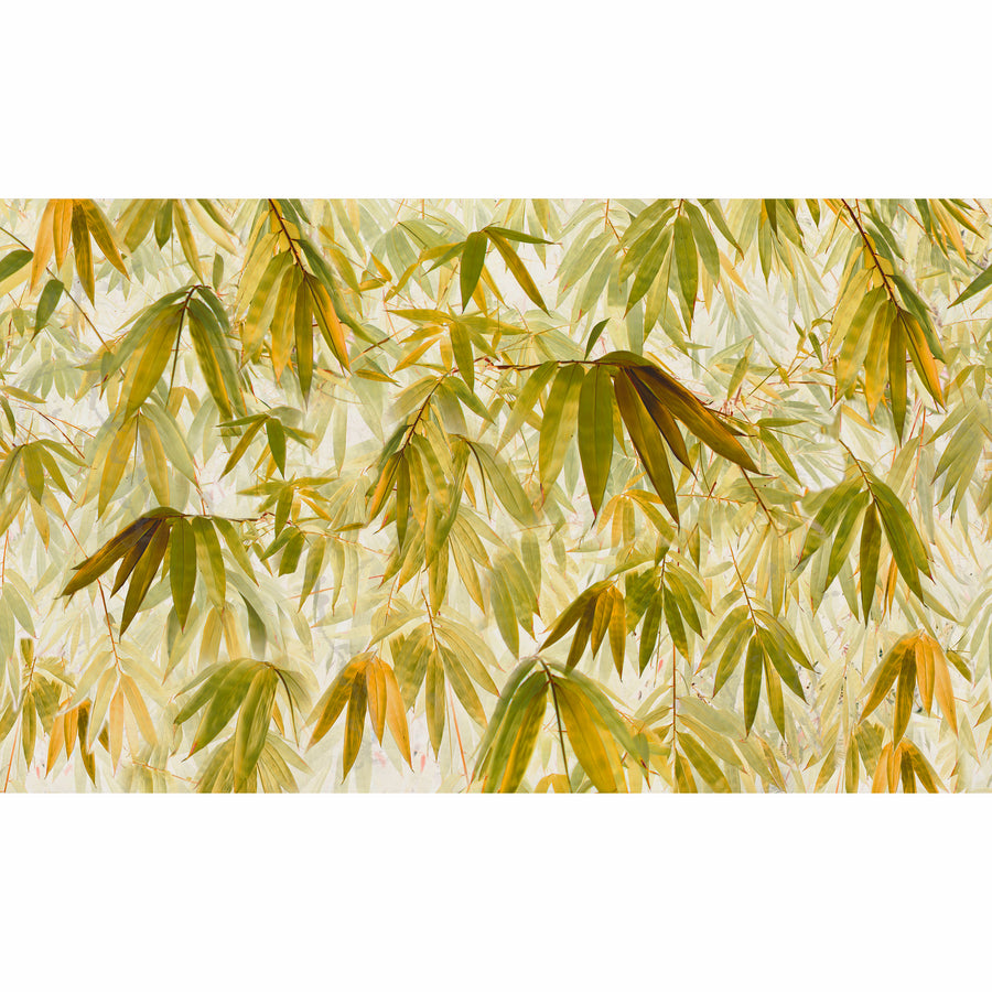 Elli Popp / Bamboo Breeze-Yellow / PM165-02 mica
