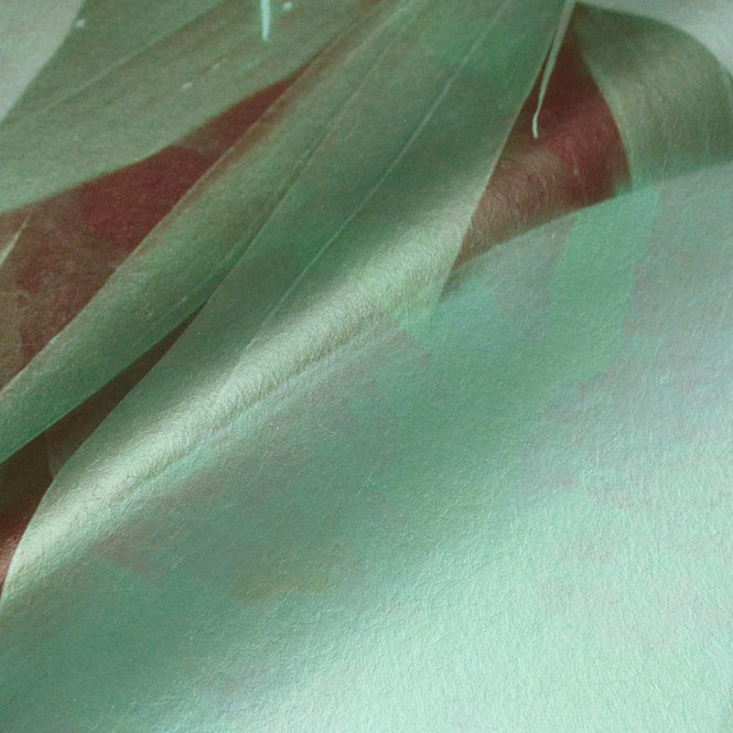 Elli Popp / Bamboo Breeze-Blue / PM165-03 mica