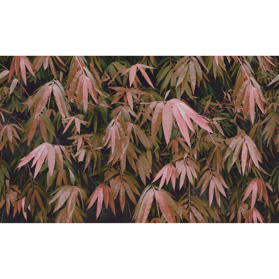 Elli Popp / Bamboo Breeze-Red / PM165-05 mica