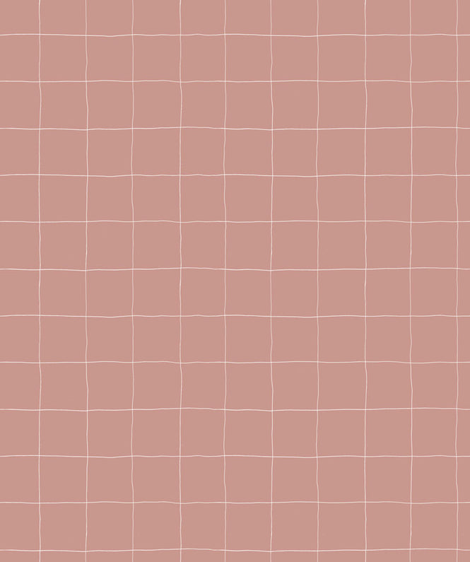 Season paper Collection / Trame blush PP-H1902