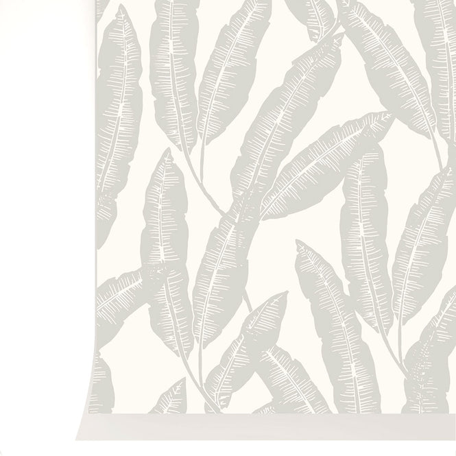 Season paper Collection / Plumes nuage PP-S1909