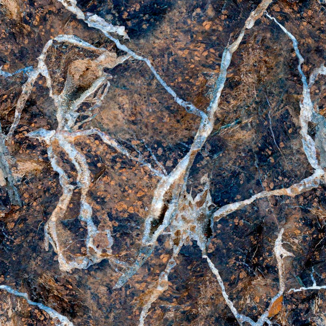 coordonne / ESSENTIA 150/50 Precious  Stone / 5800092