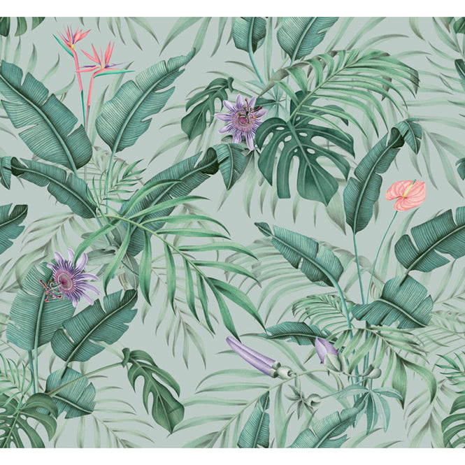 【限定数】Save the date projects / Tropical Selva Profunda セルバパラダイス(G)