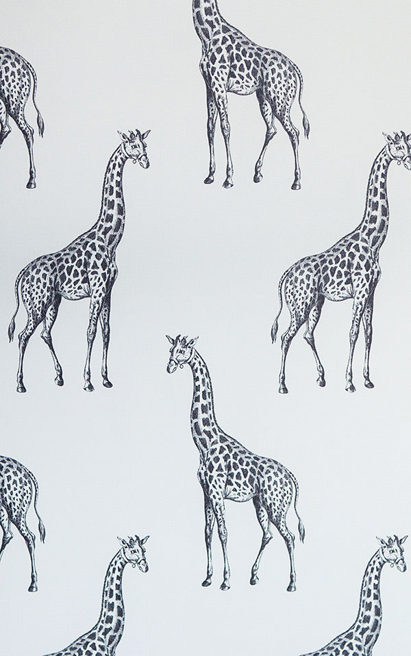 Abnormals Anonymous / Spot / Pleasantville