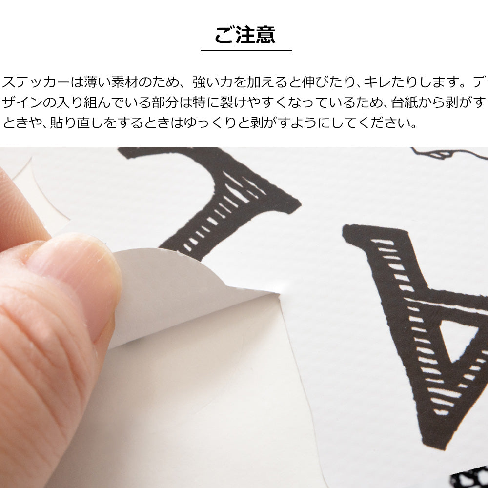 WALLTZ ステッカー】 ハシジュンコ / Daruma kikko (42x42cm