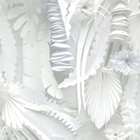 NLXLウォールペーパー rkik-phm-sh1.jpg