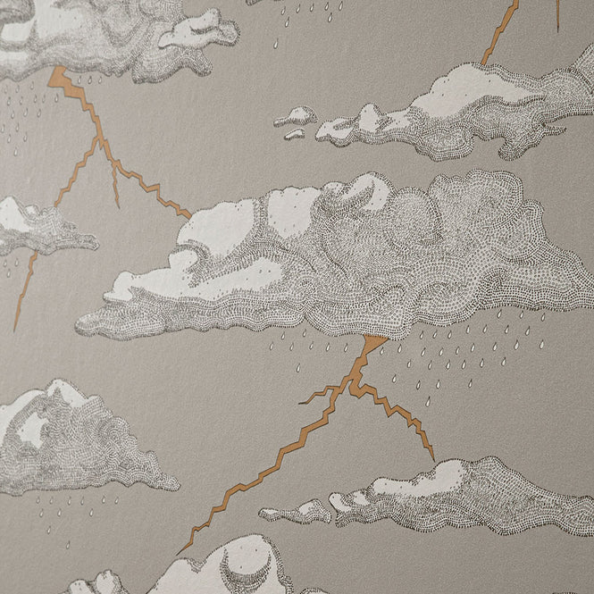 Abigail Edwards / Storm Clouds Grey Sky