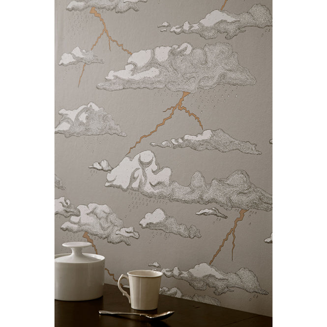 Abigail Edwards / Storm Clouds Grey Sky