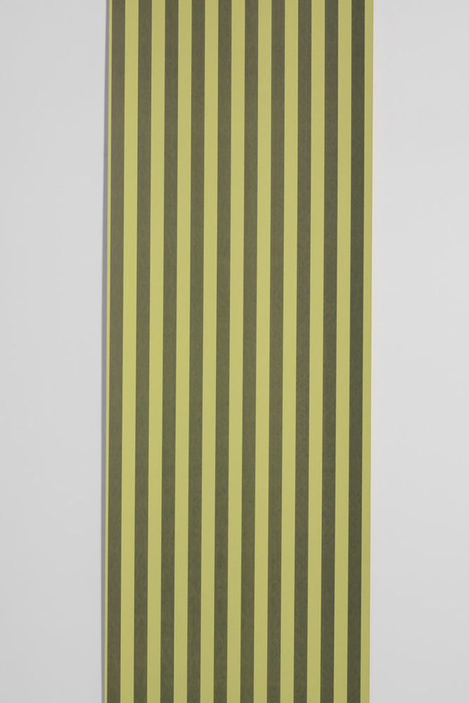 Deborah Bowness / Stripe Green