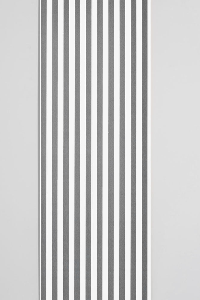 Deborah Bowness / Stripe White