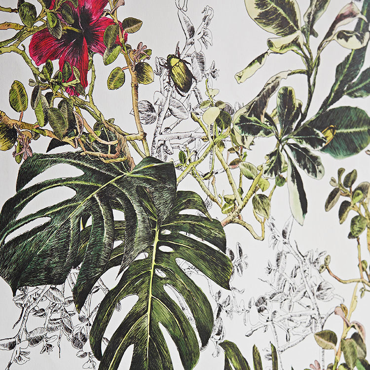 Sian Zeng / Seasons Wallpaper / Summer Tropical Bloom SEASONS06